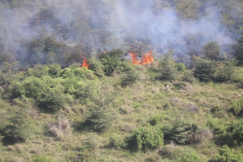 Isiolo Wildfires: A Call to Action for Our Environment" 2 isiolo