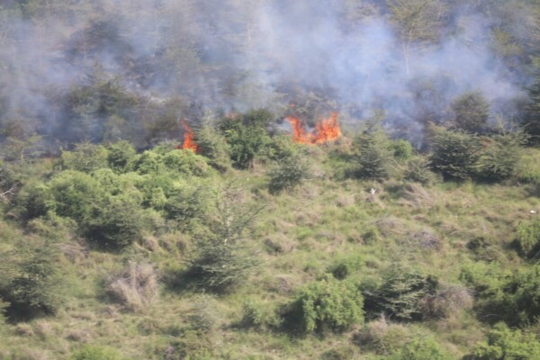 Isiolo Wildfires: A Call to Action for Our Environment” isiolo